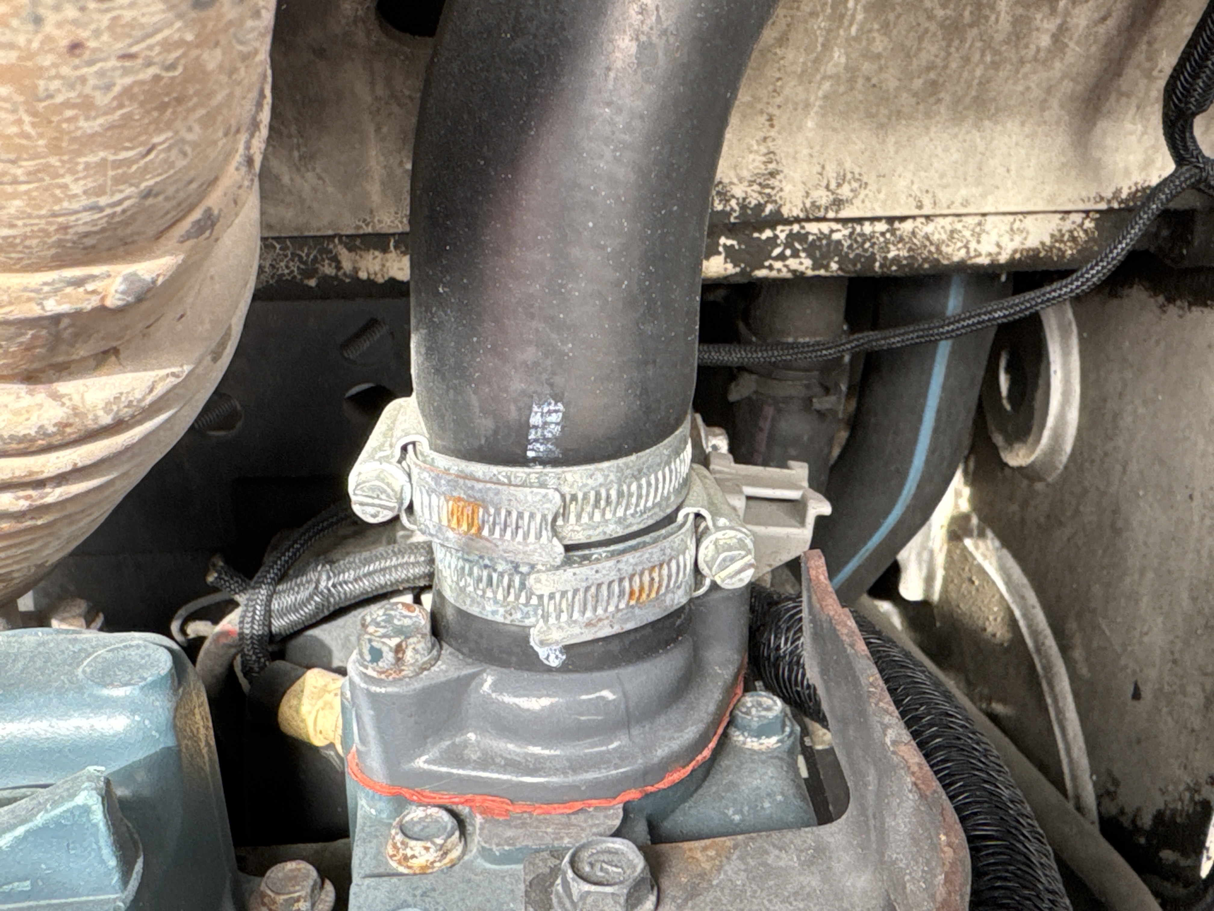 SSL-013-Bobcat-S510-Skid-steer-loaders-inspection-Engine-Hoses-2