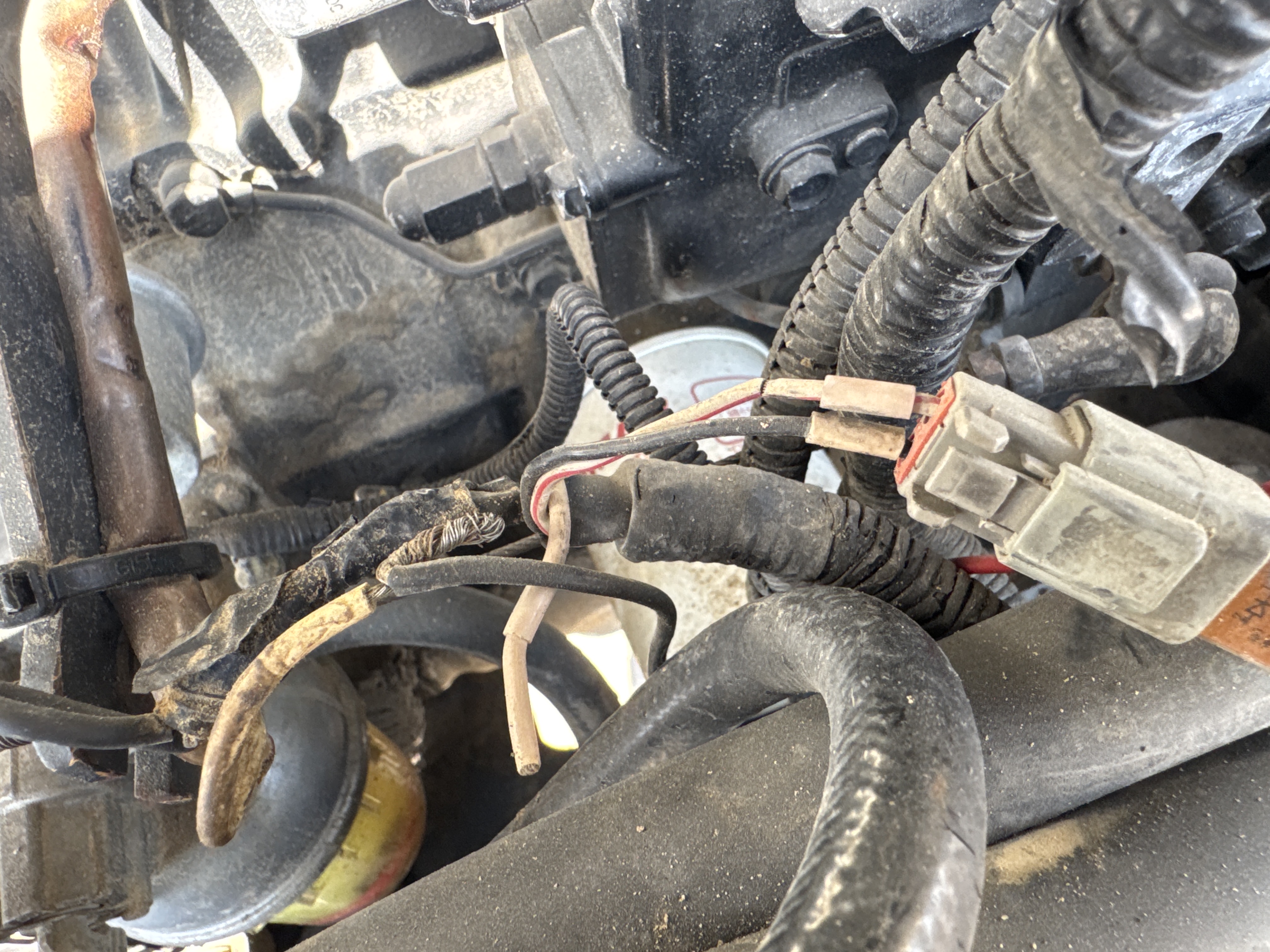 MNX-006-Yuchai-YC55-8-Mini-excavators-inspection-Electronics-Main-harness-2