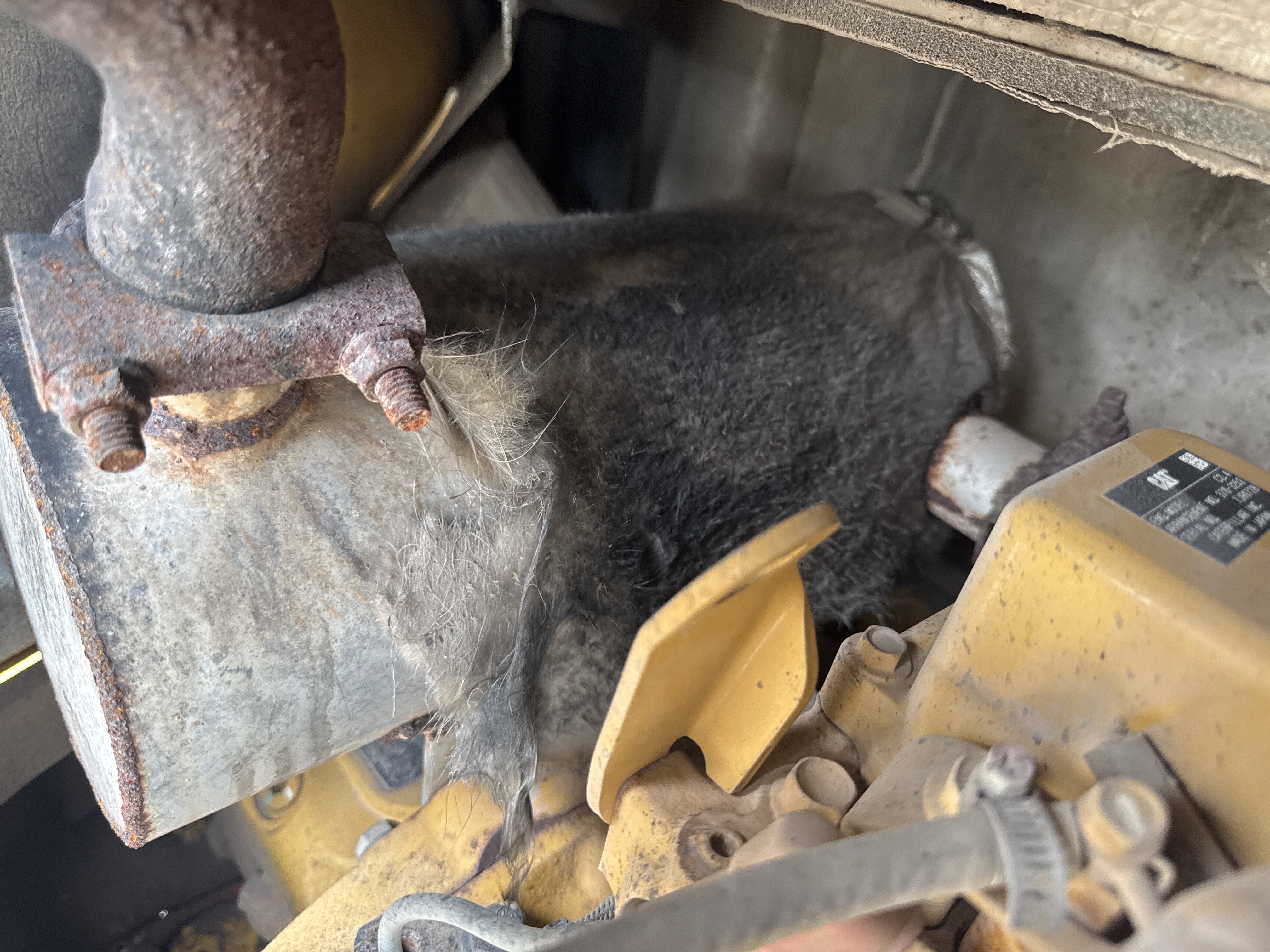 MNX-021-Cat-305E2-Mini-excavators-inspection-Engine-Exhaust-system-1
