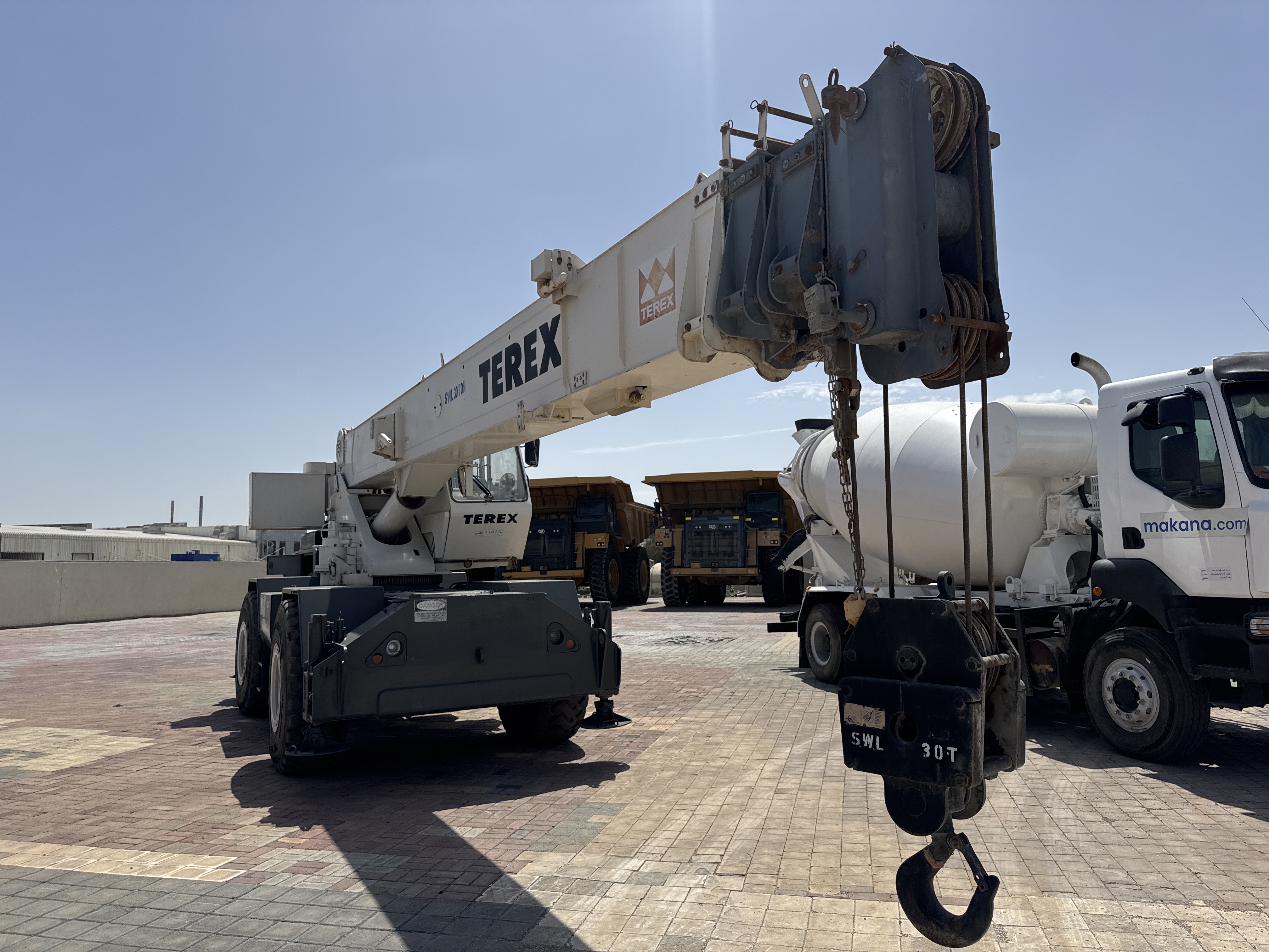 RTC-002-تيريكس-RT230-رافعات-أراضي-وعرة-فحص-الهيكل-الصبغ-1