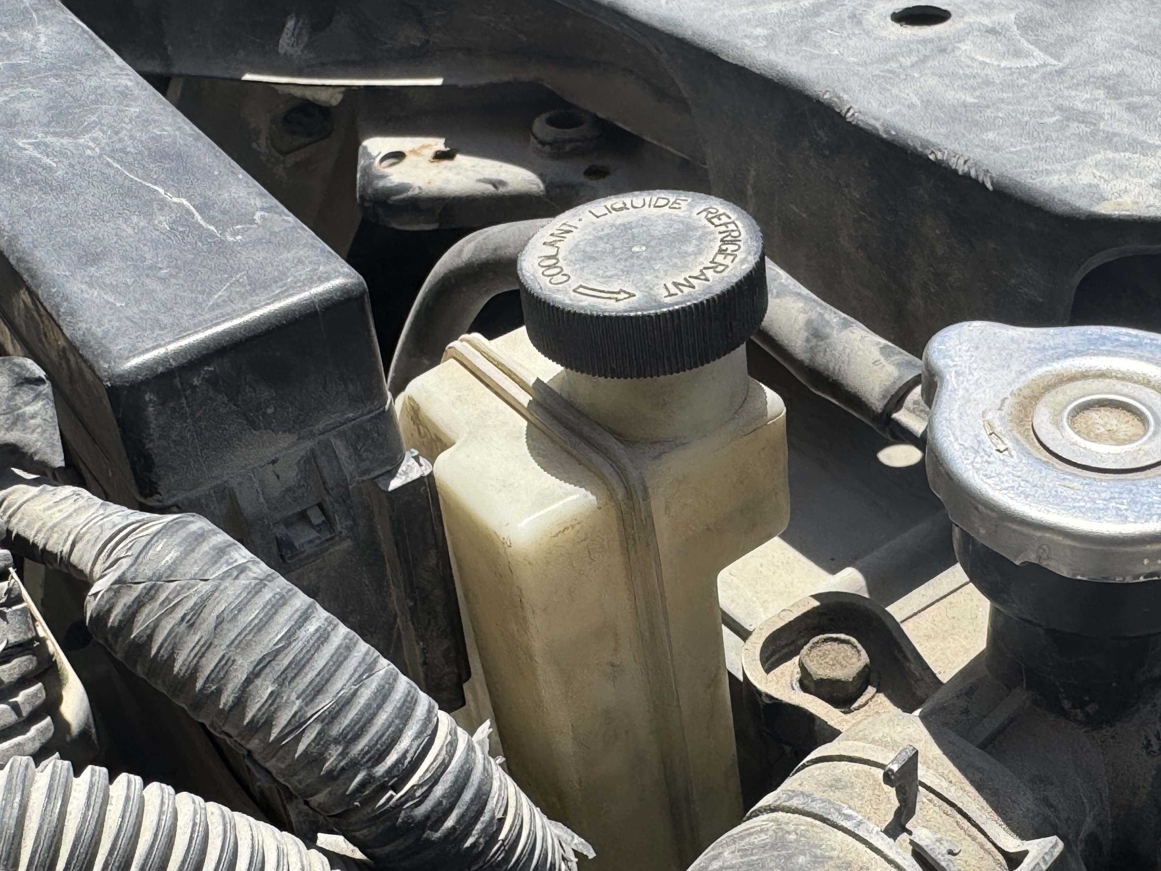 SEV-001-Nissan-Sentra-Sedans-inspection-Engine-Coolant-1