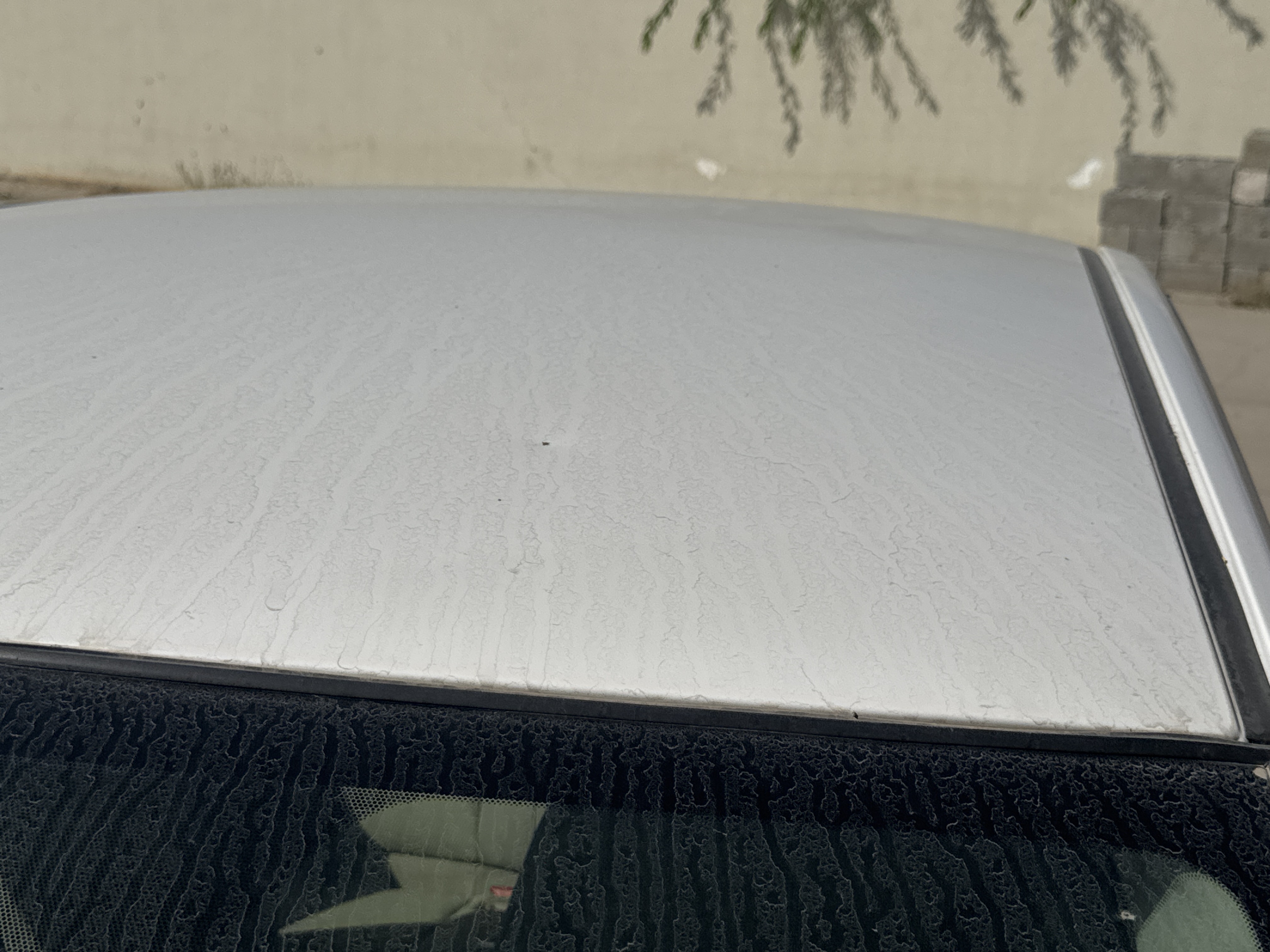 SEV-003-Nissan-Sentra-Sedans-inspection-Exterior-Roof-panel-1