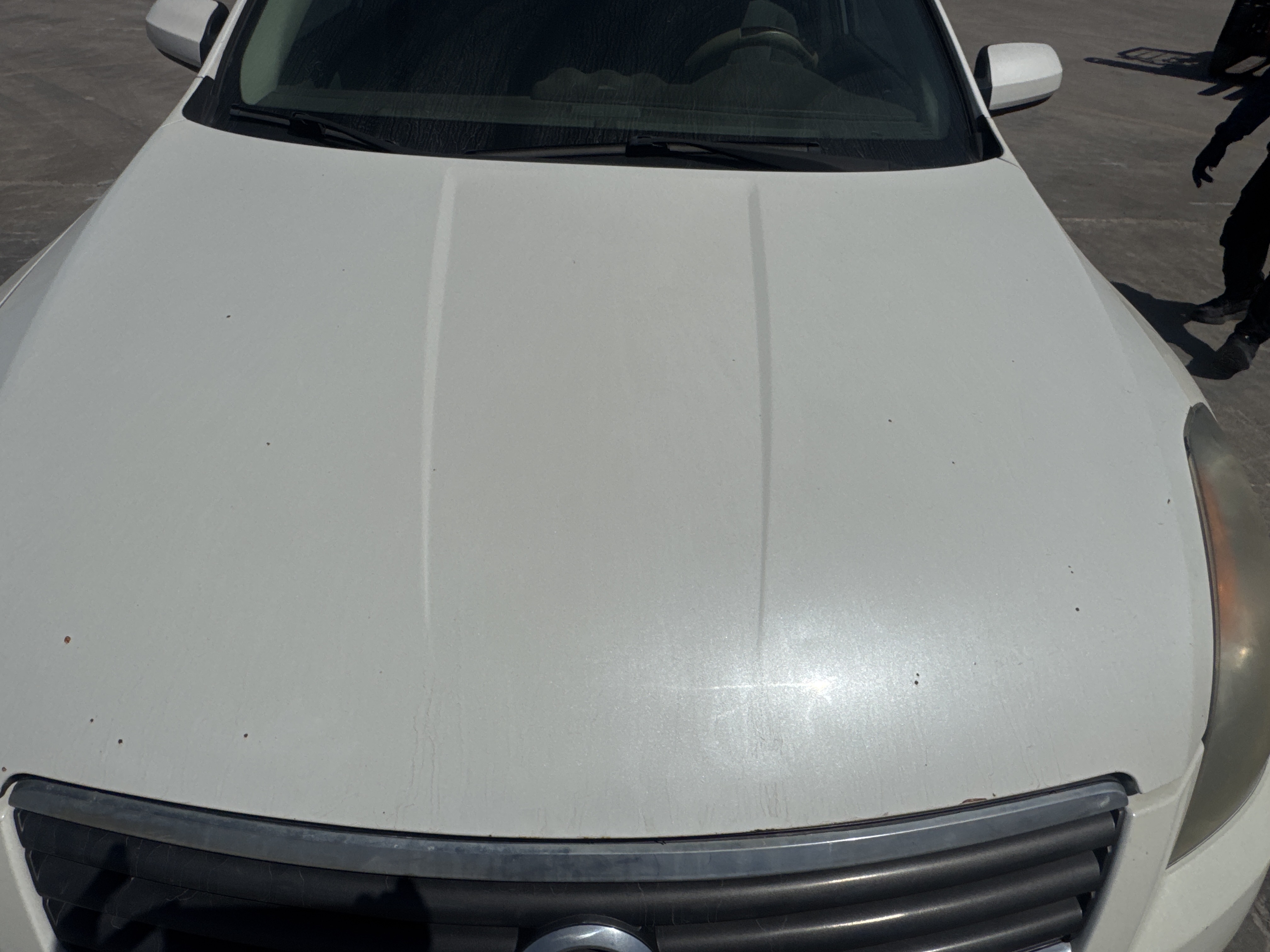 SEV-004-نيسان-Altima-سيارات-فحص-المظهر-الخارجي-غطاء-المحرك-1