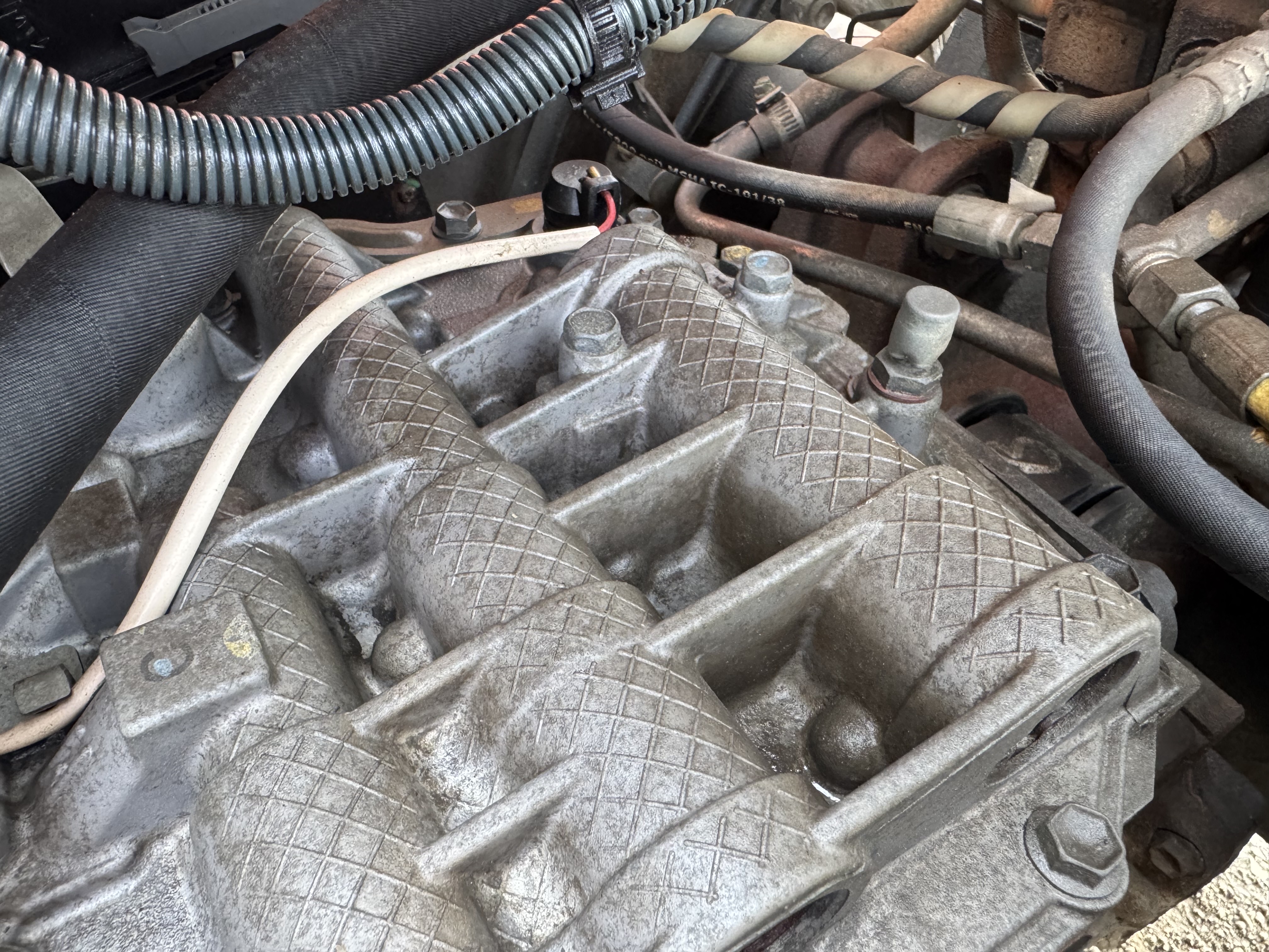 FLM-011-Toyota-8FDU30-Forklifts-inspection-Drive-system-Transmission-case-1
