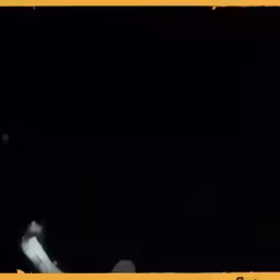 Generation-Cat D9 Crawler dozers-video