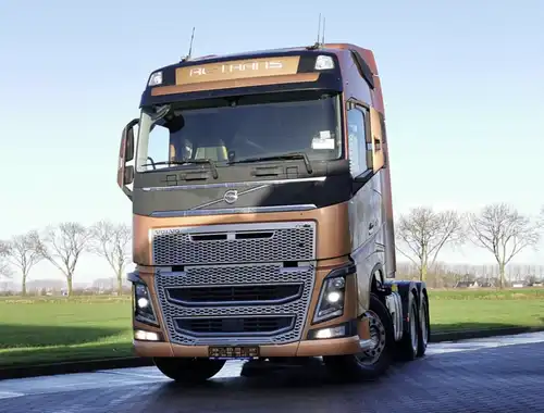 Top 12 most searched on-road truck brands - 8
